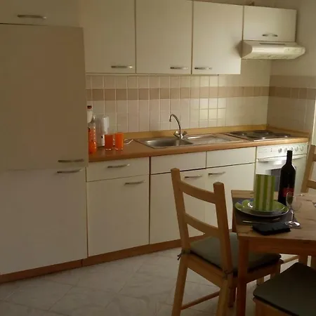 Apartmani Vir 비르
