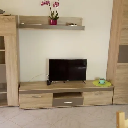 Apartmani Vir *